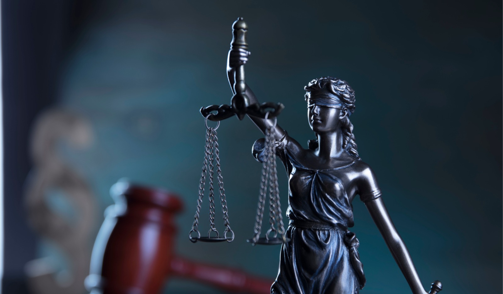 Professional legal team